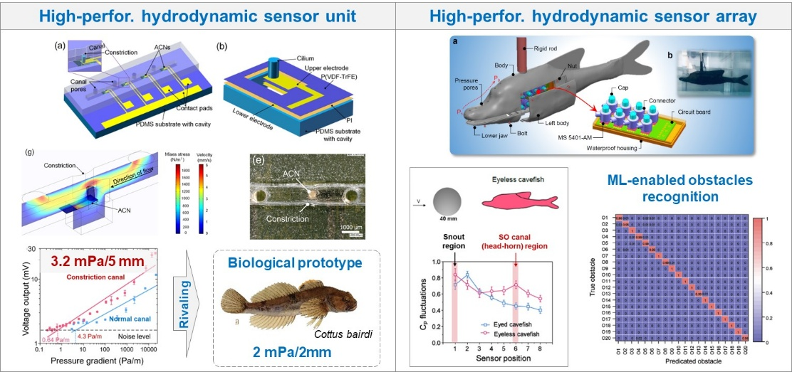 2. High-performance hydrodynamic pressure sensing devices